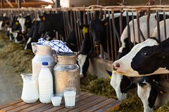 The Farmers' Plight and the Bourgeoisie's Grip: A Study in Market Exploitation