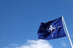 О вопросе сѣверной безопасности: о пользе гибкихъ союзовъ и эффективности арміи